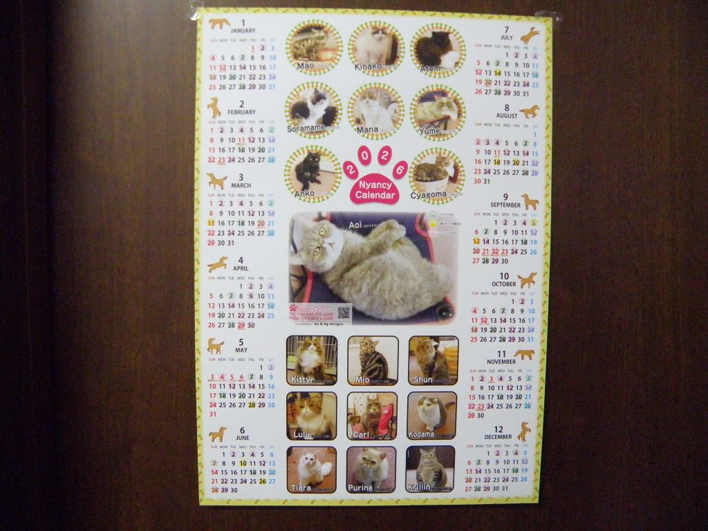 １２月１５日、遅くなりましたが２０２６年ニャンシーカレンダー届きました！(^^)/
